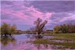 Immagine Alluvione